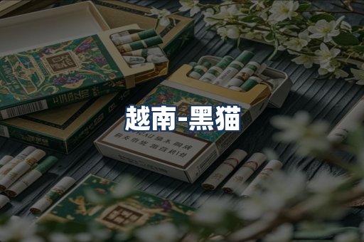 越南黑猫